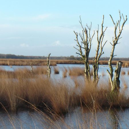 Hotel Bitter En Zoet Veenhuizen Zewnętrze zdjęcie